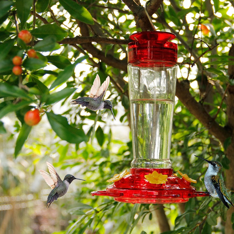 Top Selling🔥Hummingbird Feeder With Built-in Bee Guards And Ant Moat