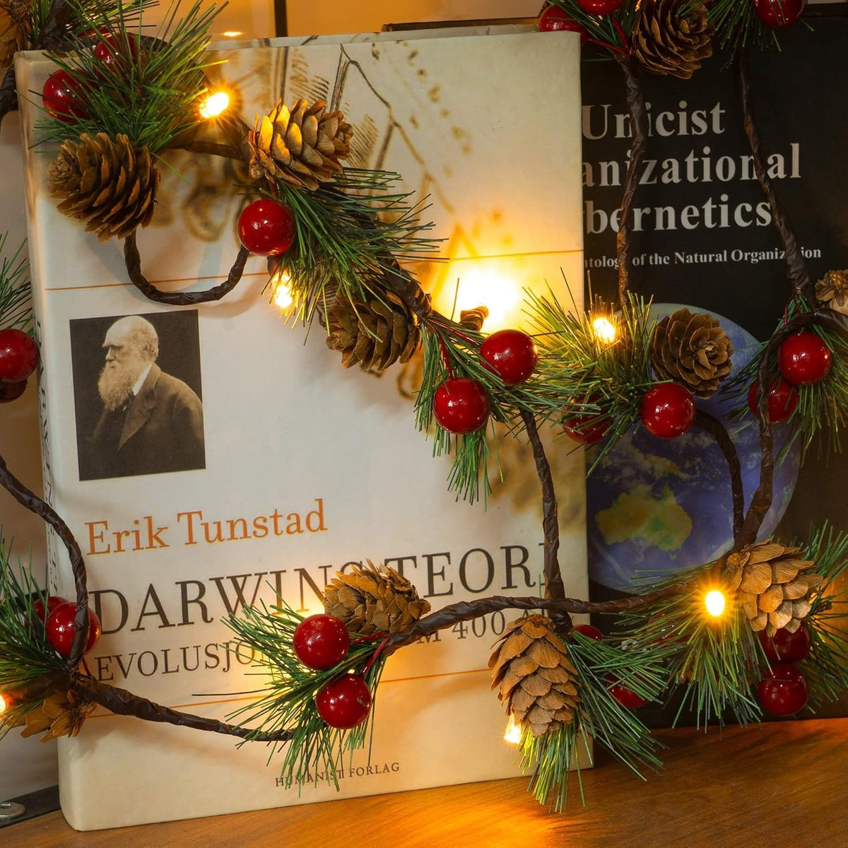 Christmas PineCones String Lights with Timer (6.56Ft 20 LED)