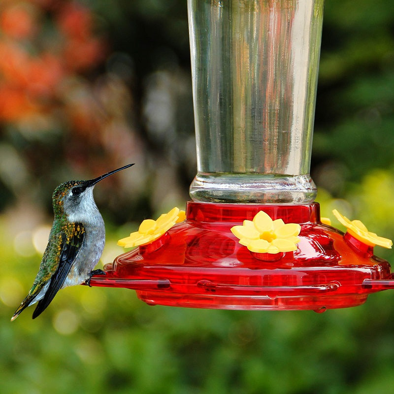 Top Selling🔥Hummingbird Feeder With Built-in Bee Guards And Ant Moat